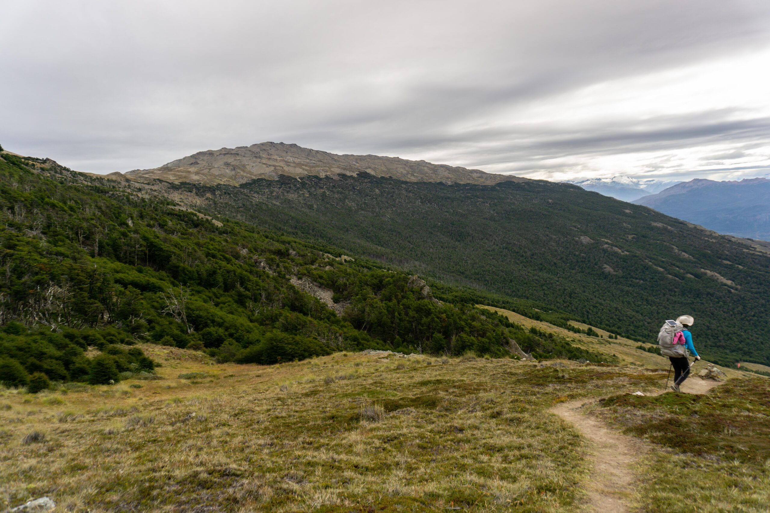 Chile_Parque Nacional Patagonia