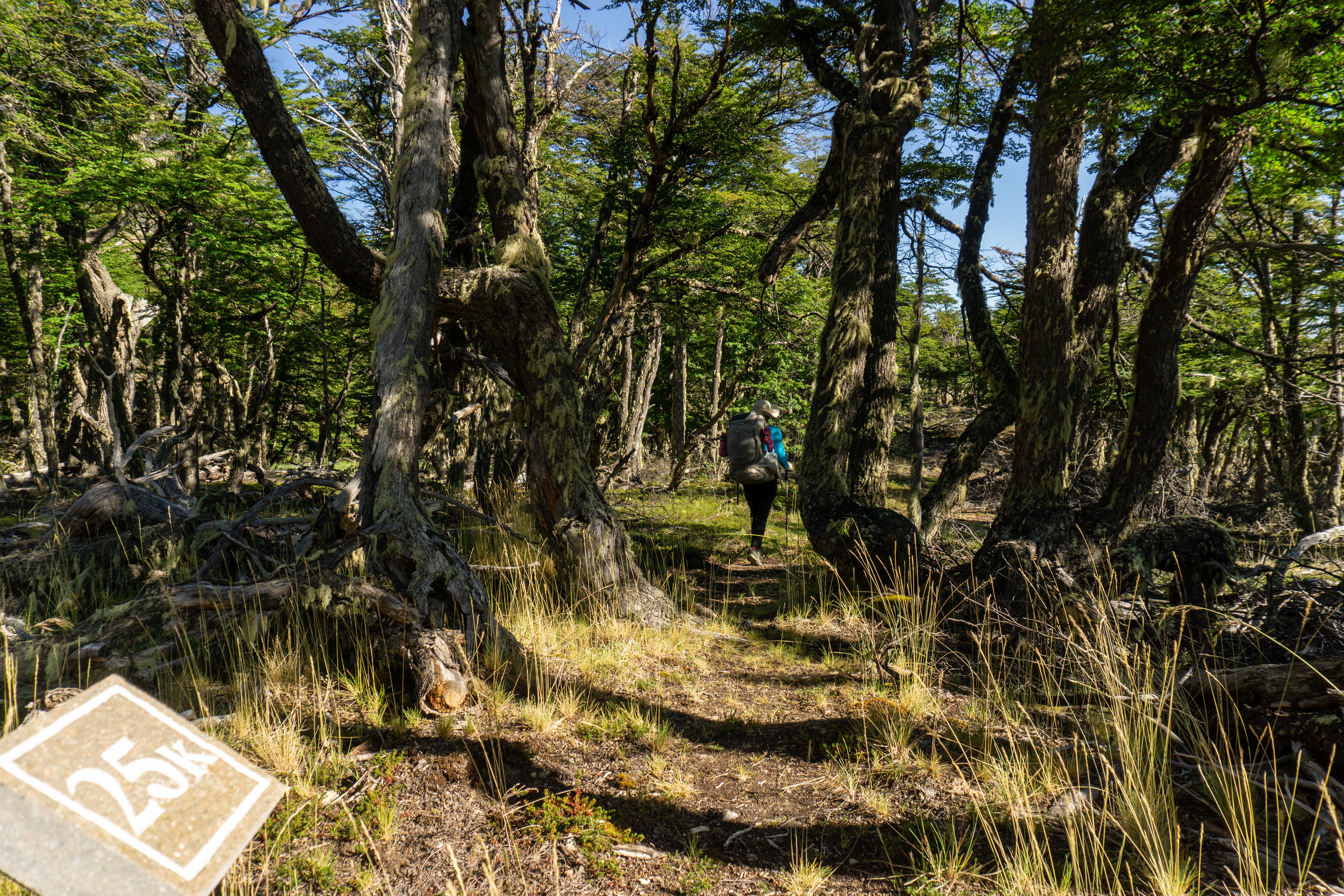 Parque Patagonia_Sendero 7 Lagunas
