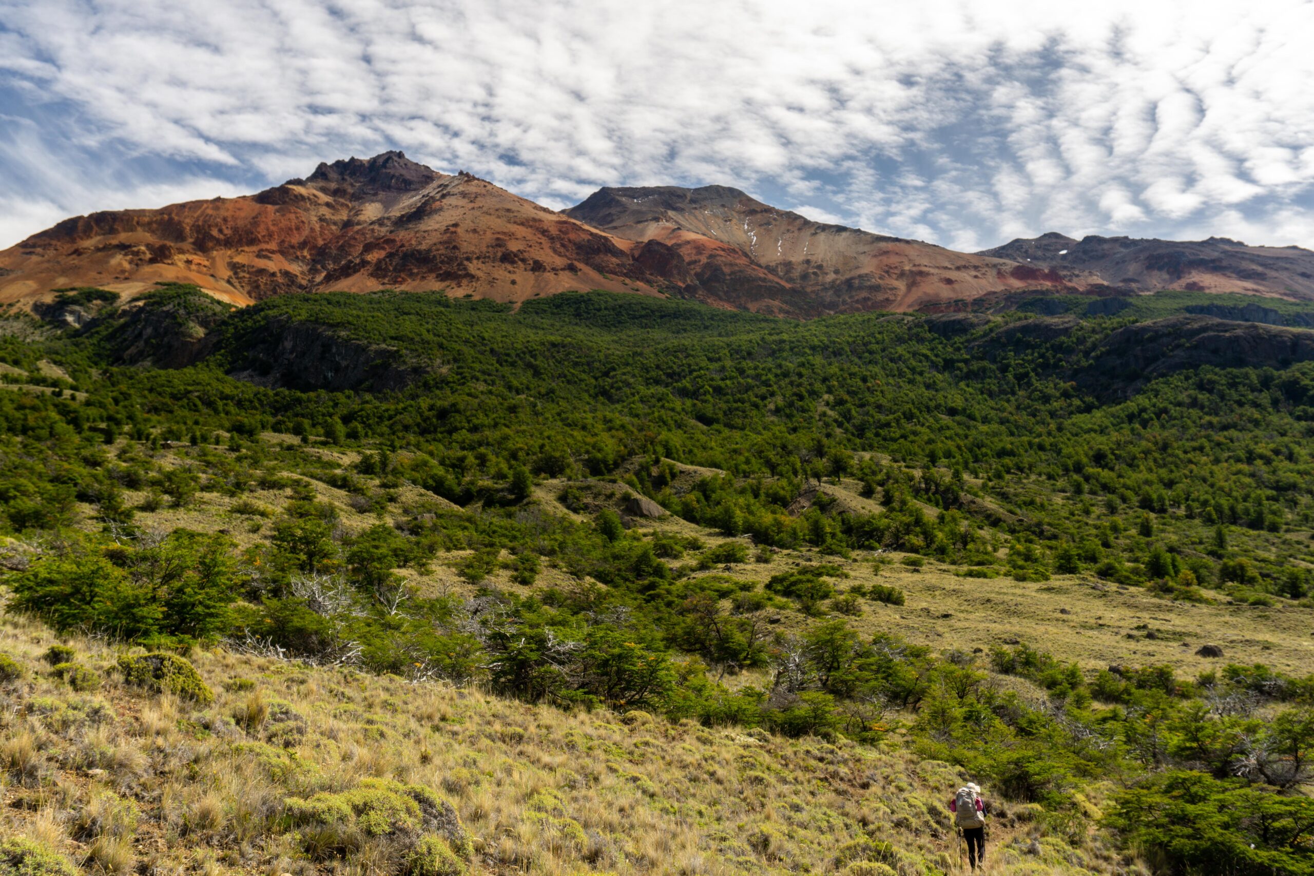Parque Nacional Patagonia_Chile