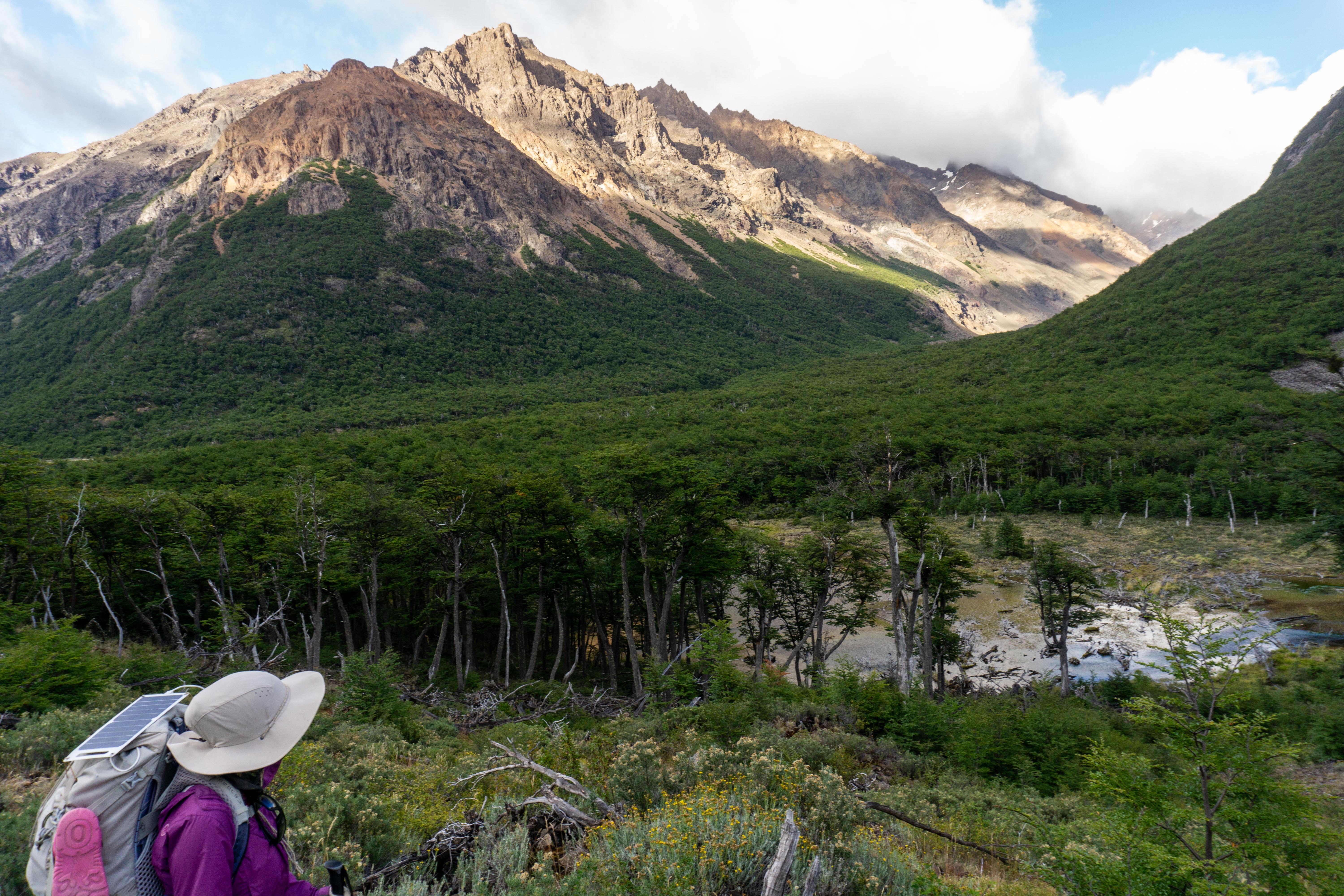 Parque Nacional Patagonia_Chile