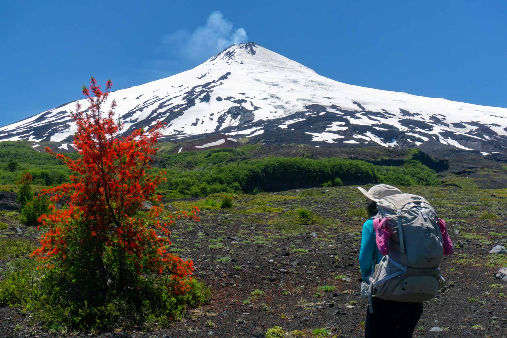 Patagonia_Chile_Pucon_Parque Nacional Villarrica