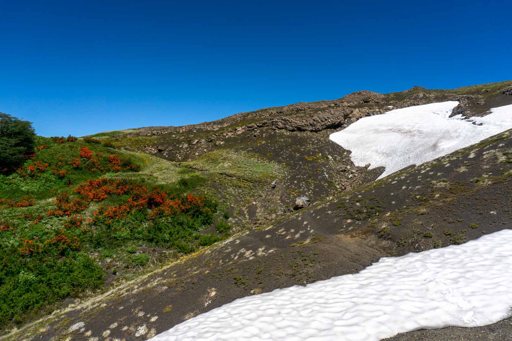 Patagonia_Chile_Pucon_Parque Nacional Villarrica