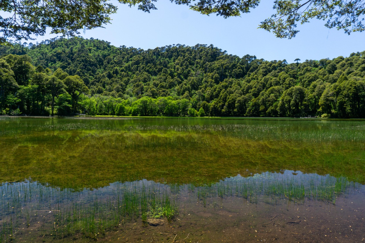 Patagonia_Santuario El Cani_Chile_Pucon