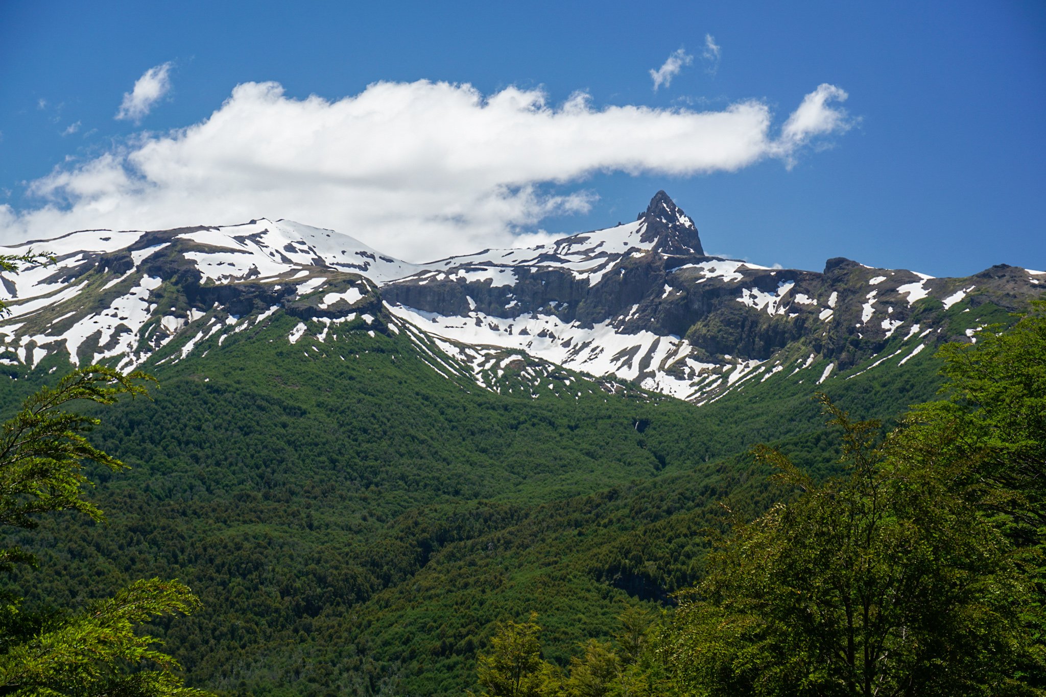 Chile_Pucon_Patagonia_Parque Nacional Villarrica