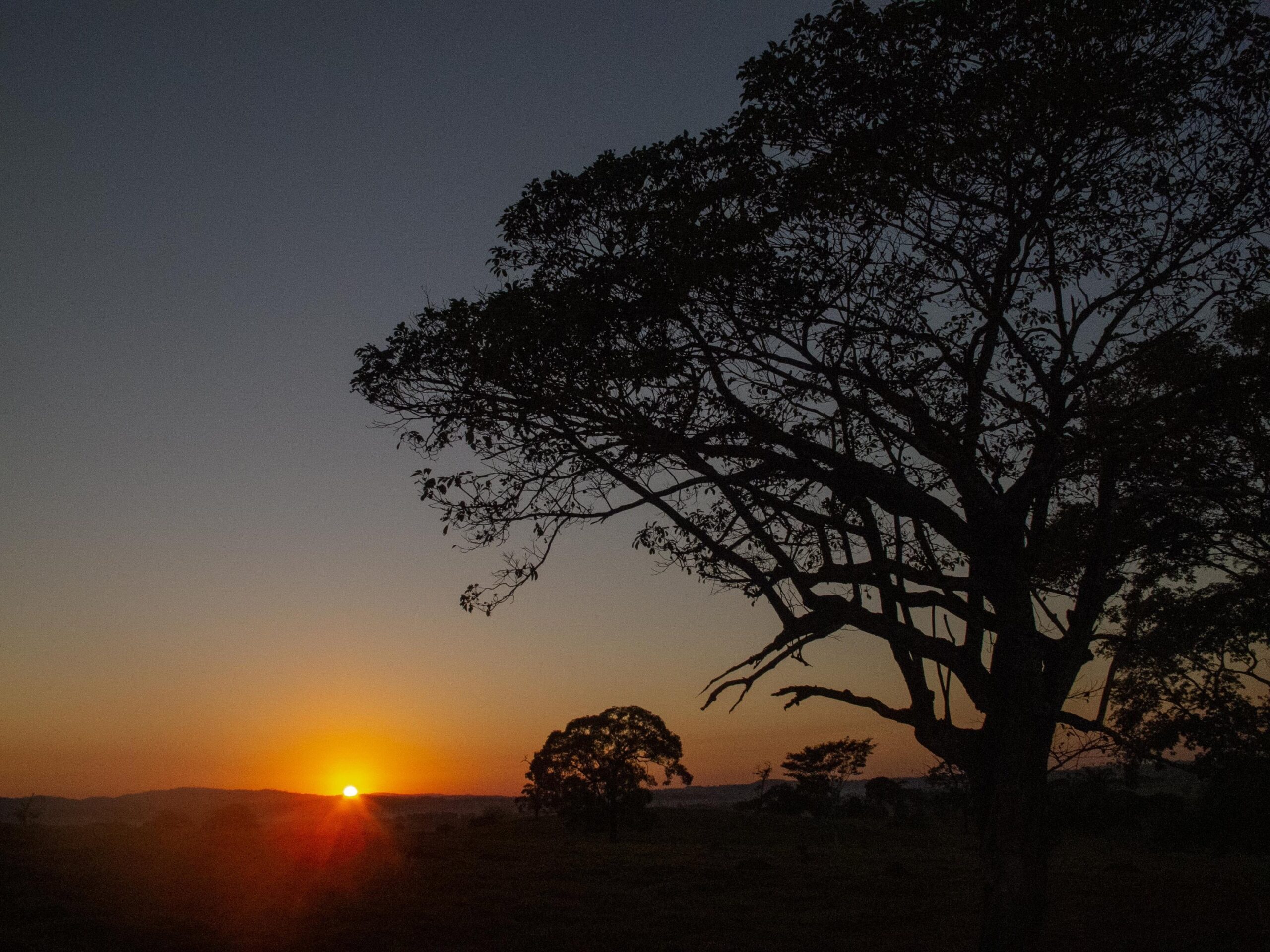 Caminho_de_Cora_Coralina_Goias