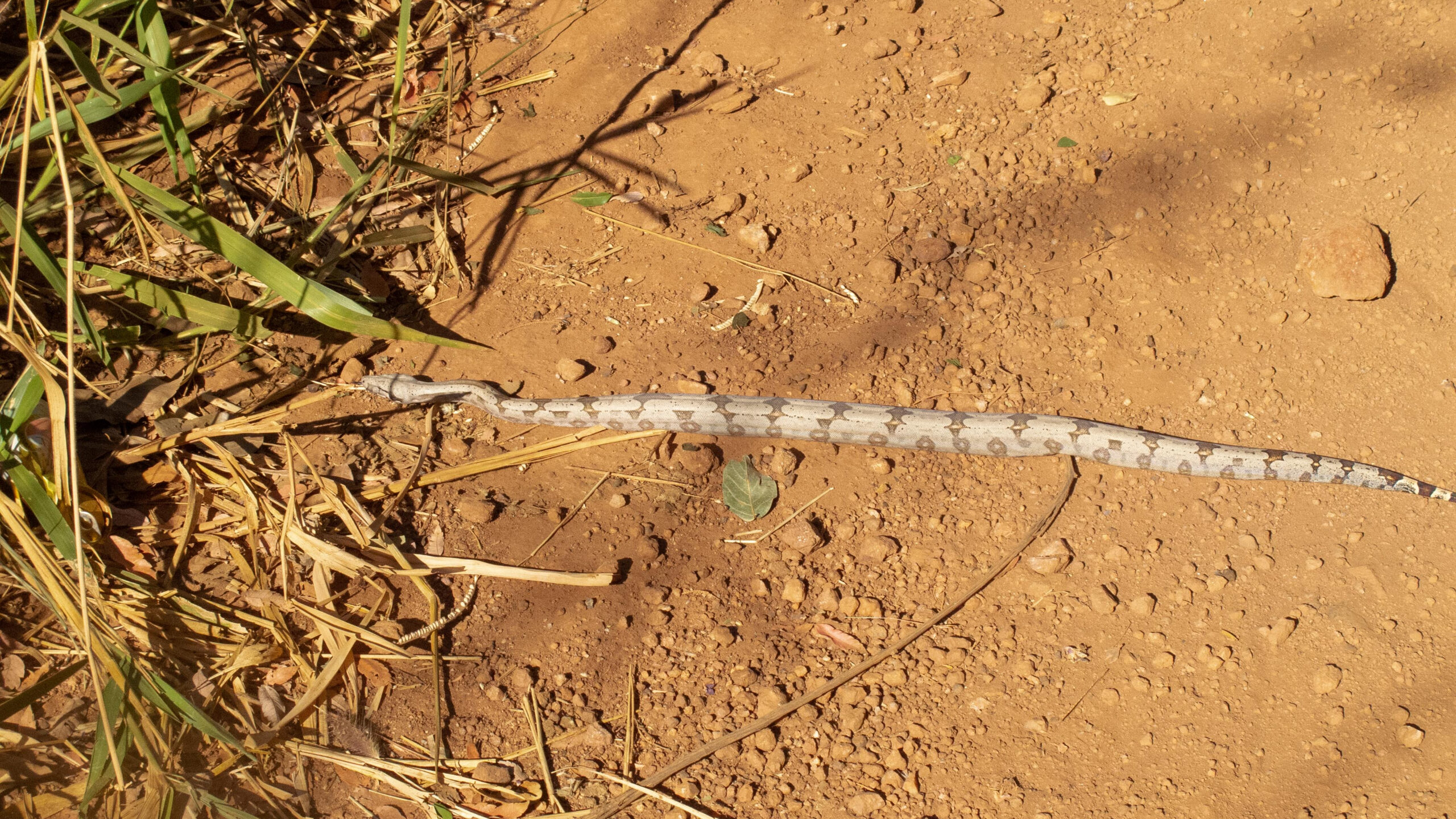 Caminho_de_Cora_Coralina_Goias