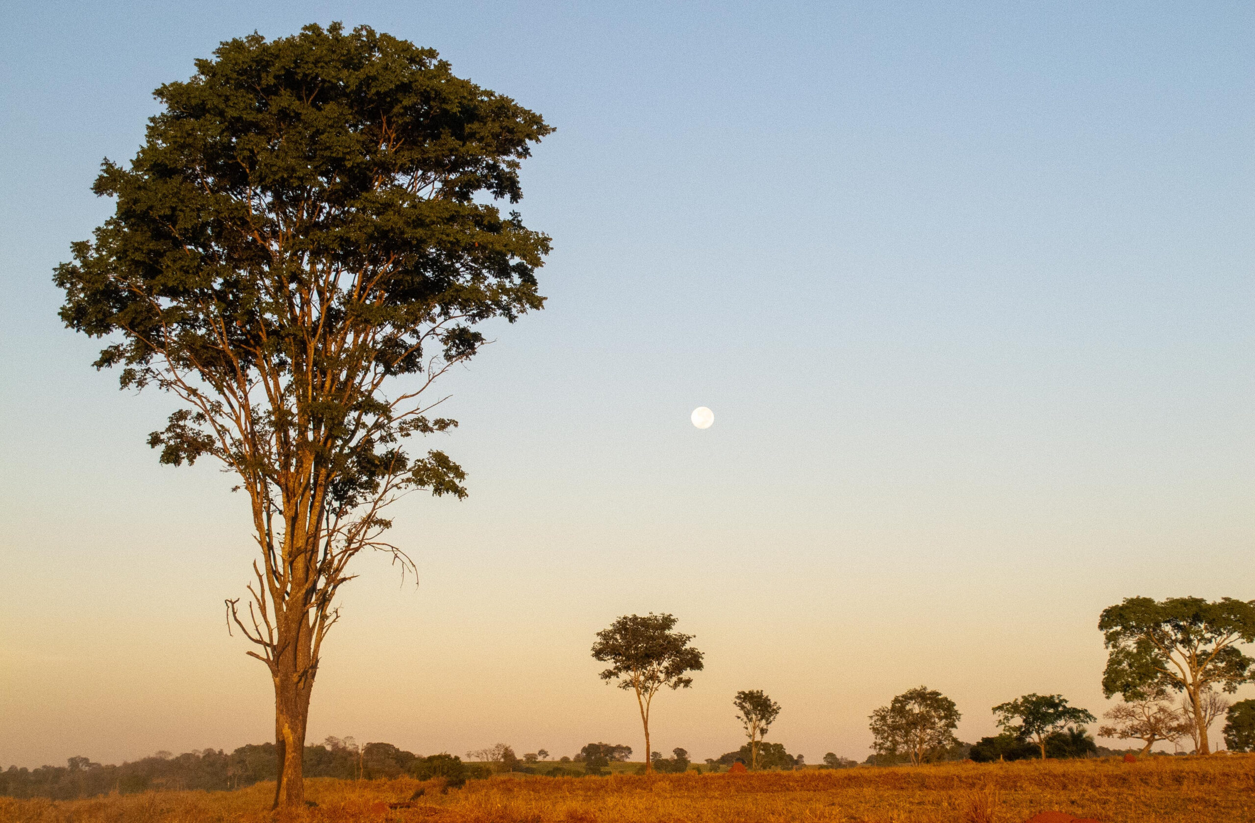 Caminho_de_Cora_Coralina_Goias