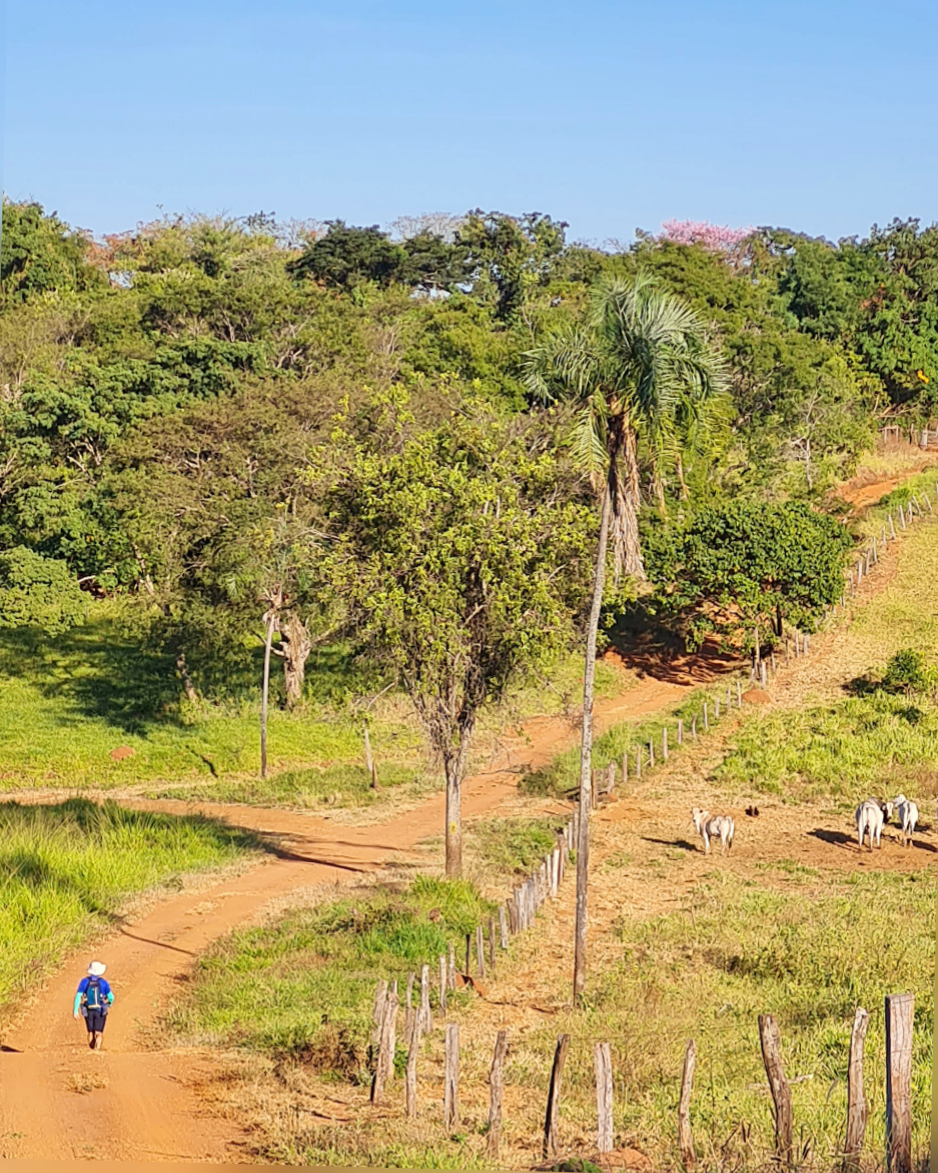 Caminho de Cora Coralina_Itaguari