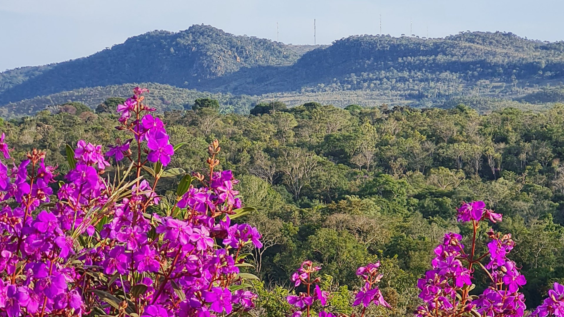 Caminho_de_Cora_Coralina_Goias