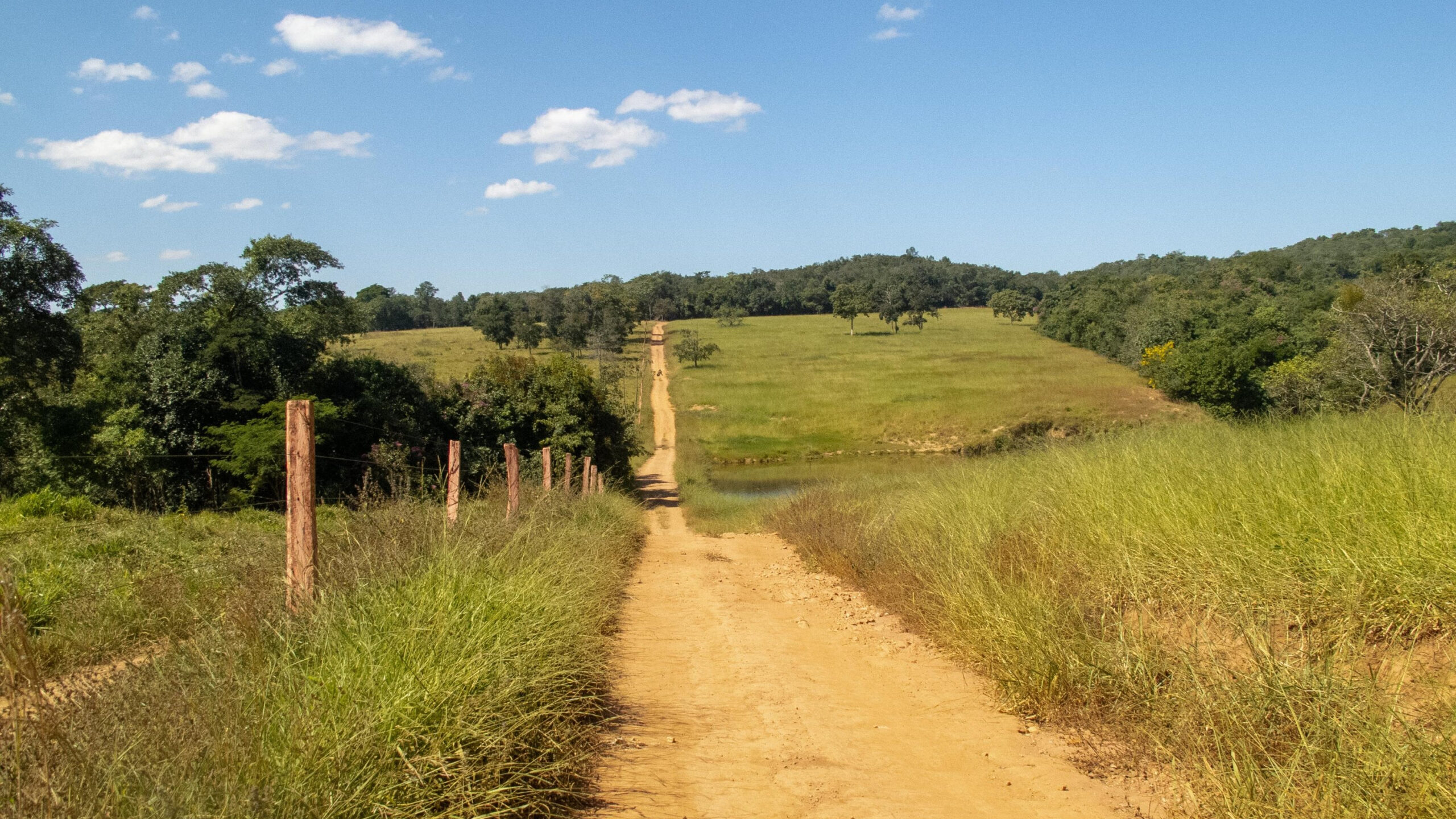 Caminho_de_Cora_Coralina_Goias