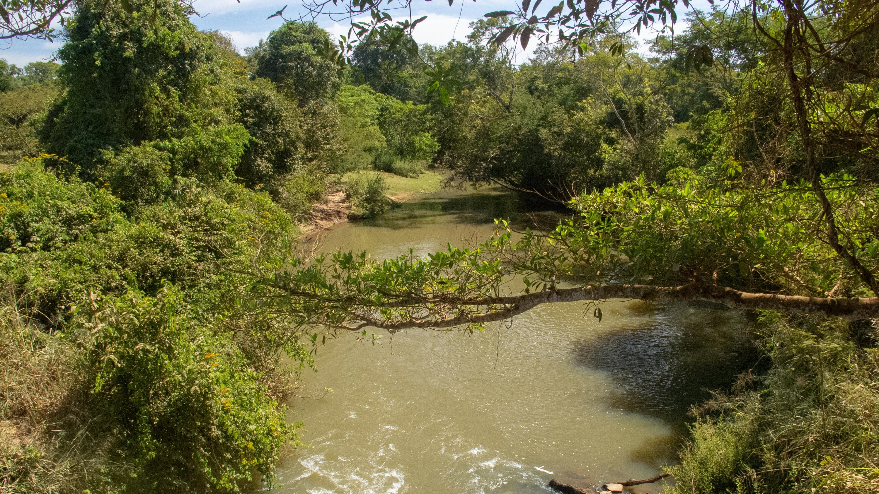 Caminho_de_Cora_Coralina_Goias