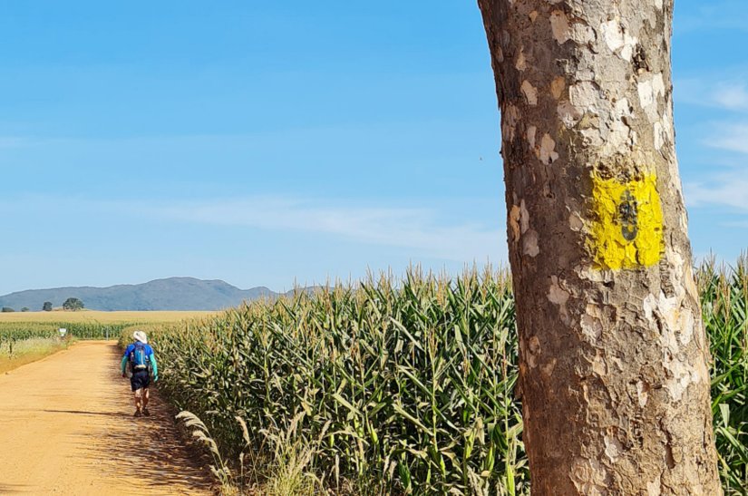 Caminho_de_Cora_Coralina_Goias