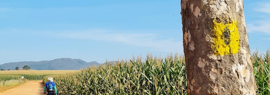 Caminho_de_Cora_Coralina_Goias