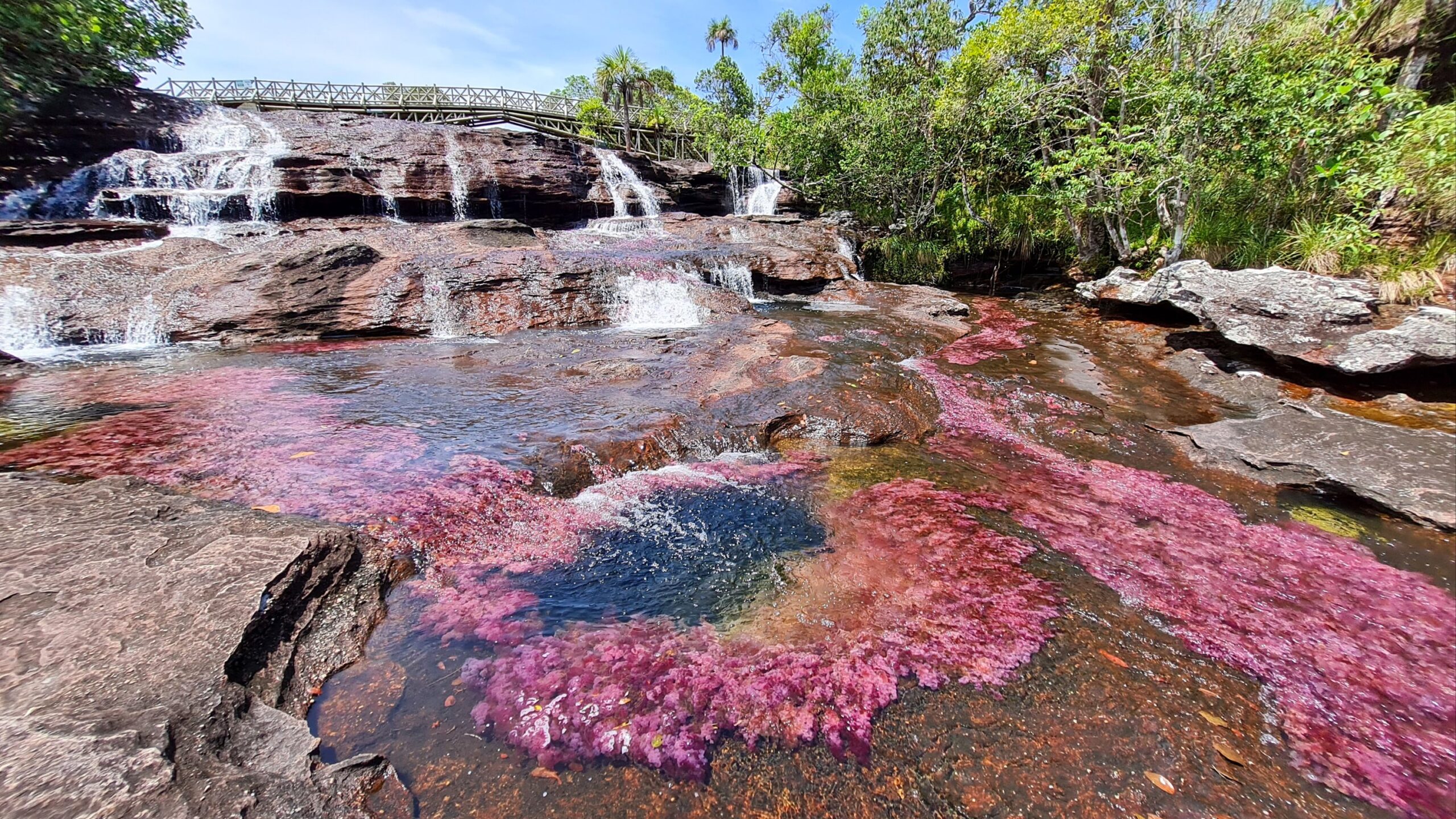 cano cristales_La macarena