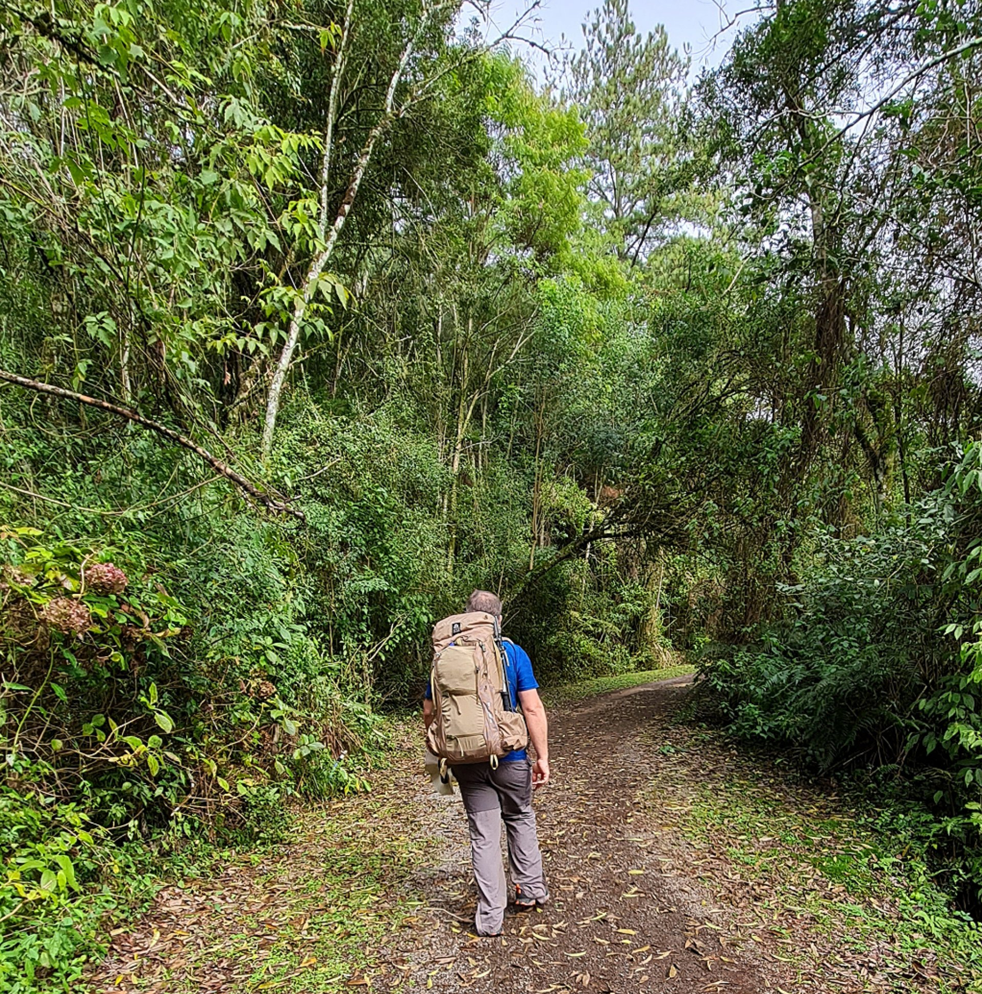 caminhos de caravaggio gramado