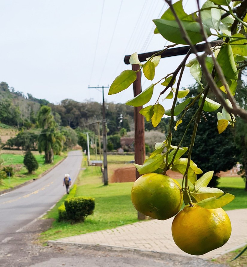 Caminhos de Caravaggio_Gramado