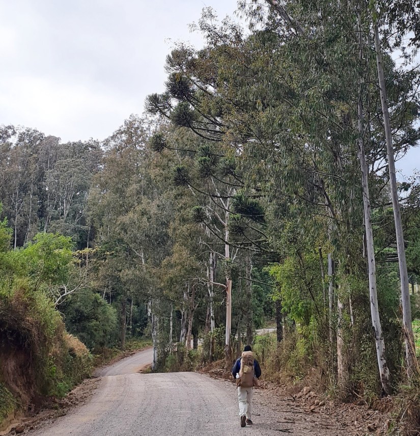 Nova Petropolis_Rio Grande do Sul