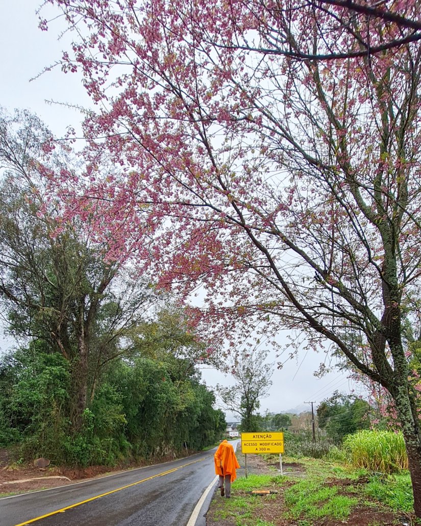 Caminhos de Caravaggio_Nova Petropolis