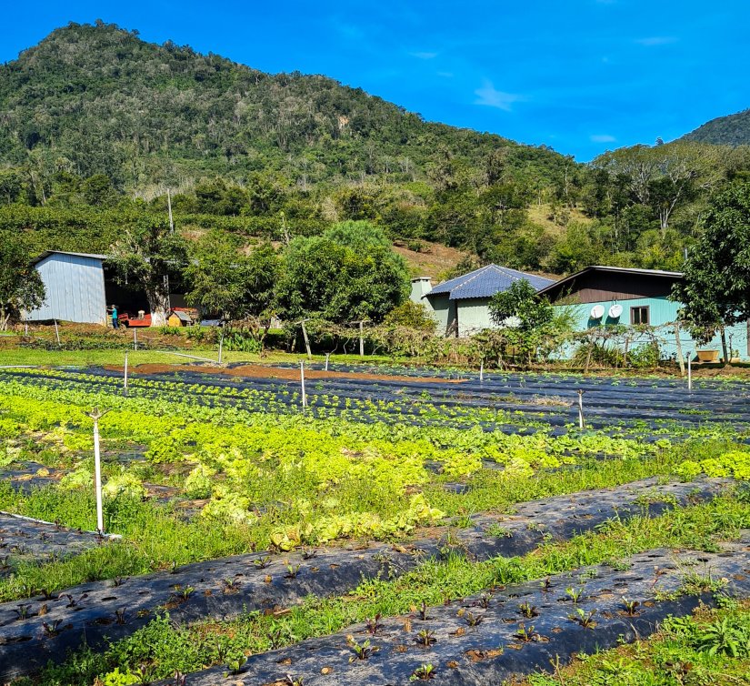 Caminhos de Caravaggio_hortas