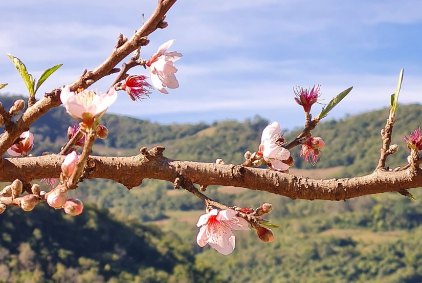 Caminhos de Caravaggio