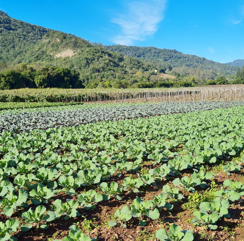 Caminhos de Caravaggio_vale do cai