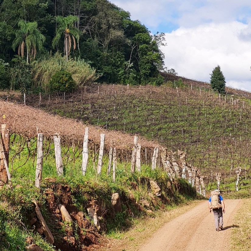 Caminhos de Caravaggio_parreiras