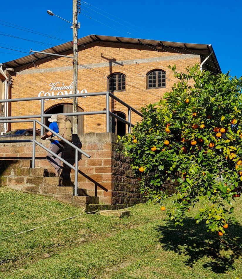 Caminhos de Caravaggio_vinicola Colombo