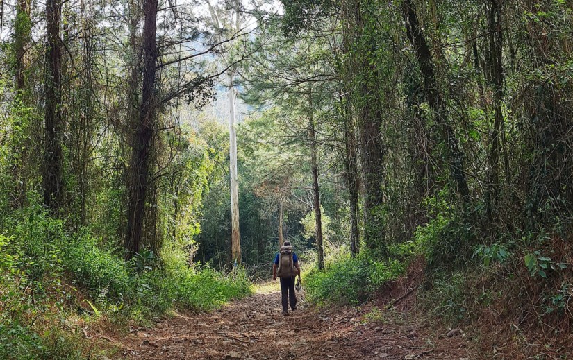 wp-16485502171034067144665237724958