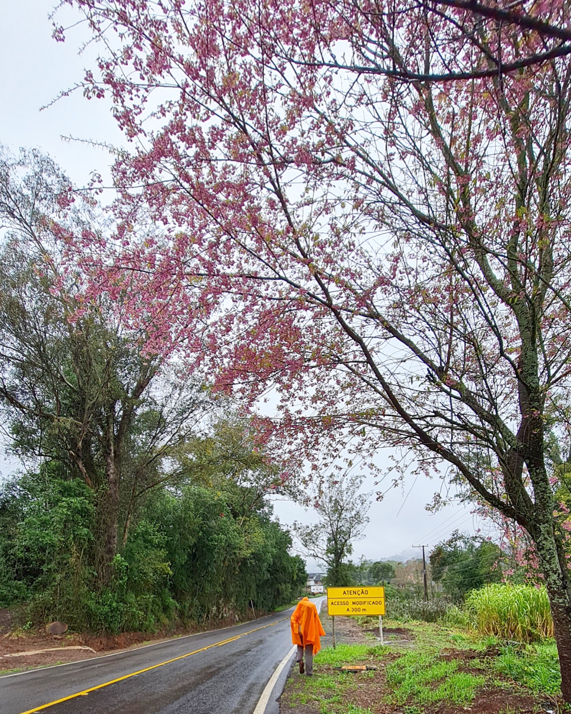 Caminhos de Caravaggio_Nova Petropolis