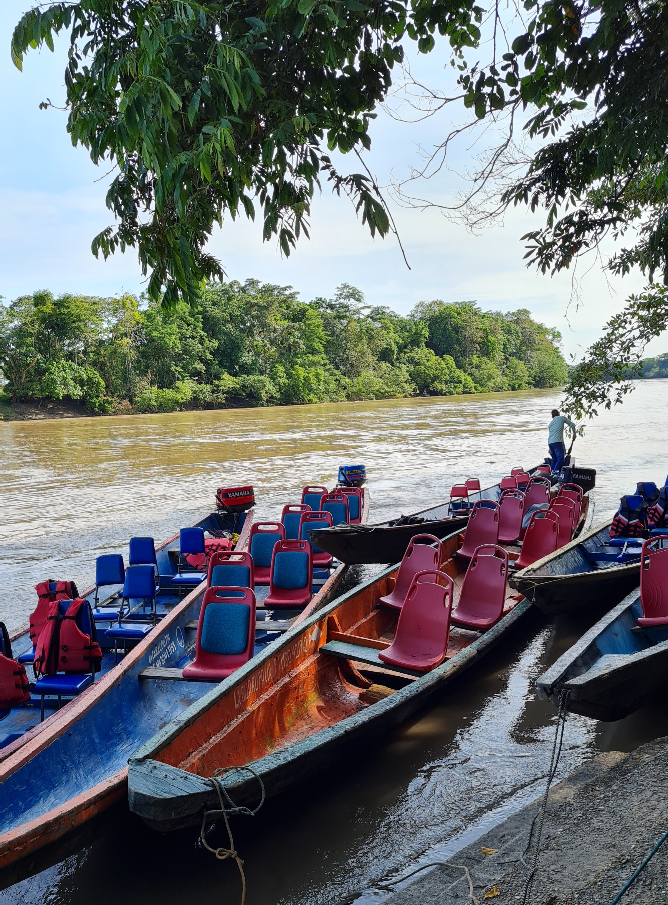 Cano Cristales_Colombia