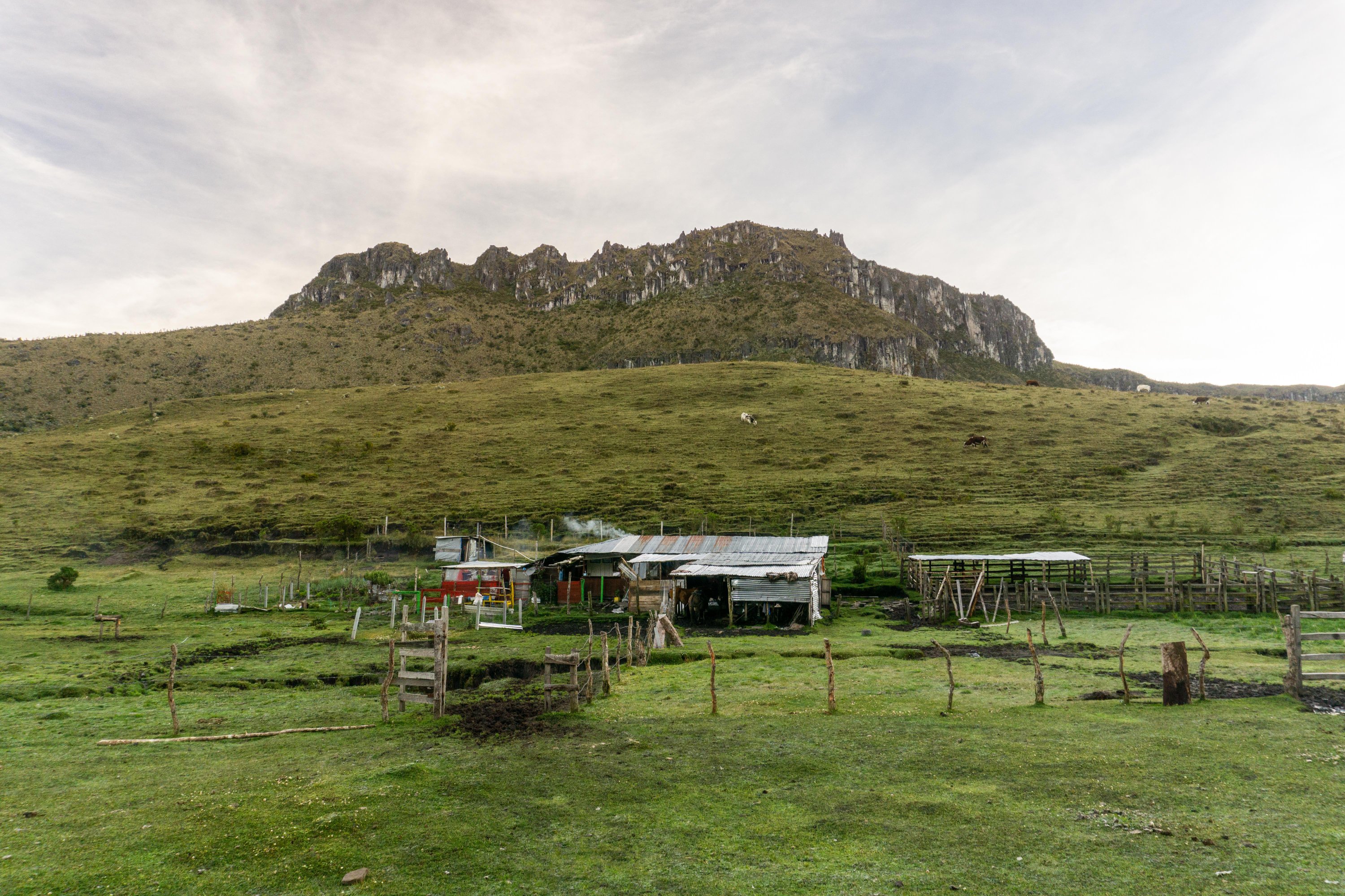 Parque Nacional Los Nevados