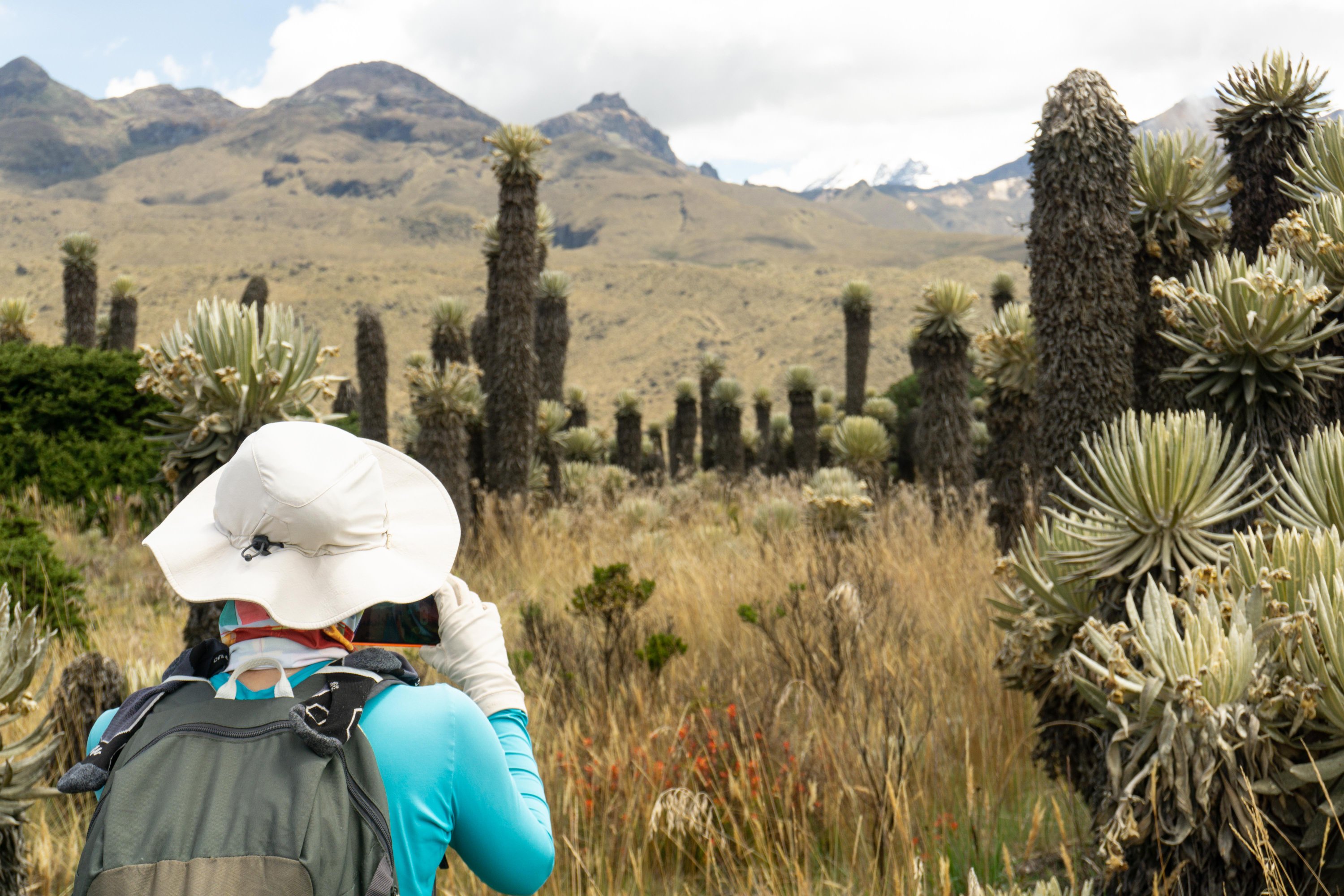 paramo colombia