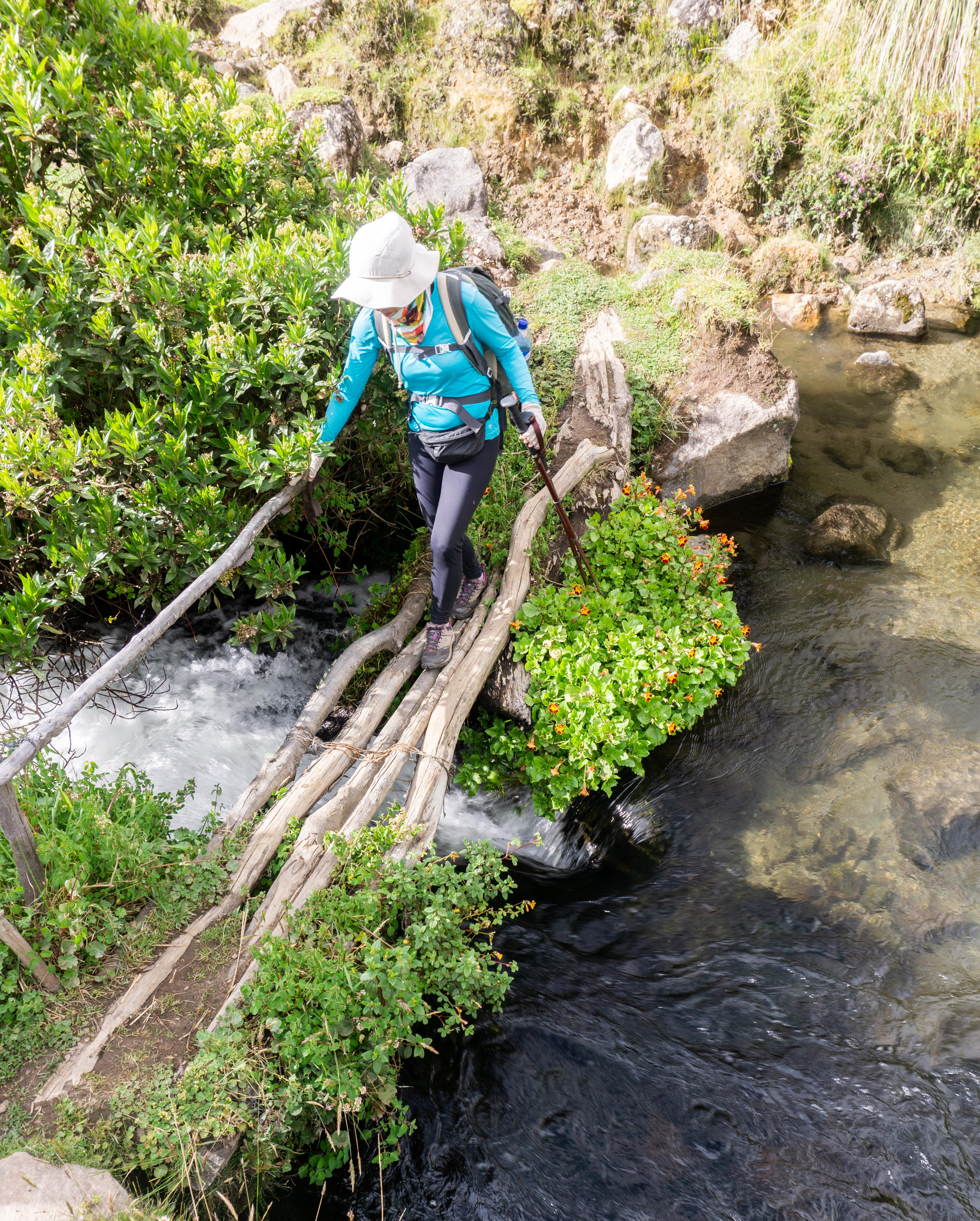 Parque Los Nevados_Colombia