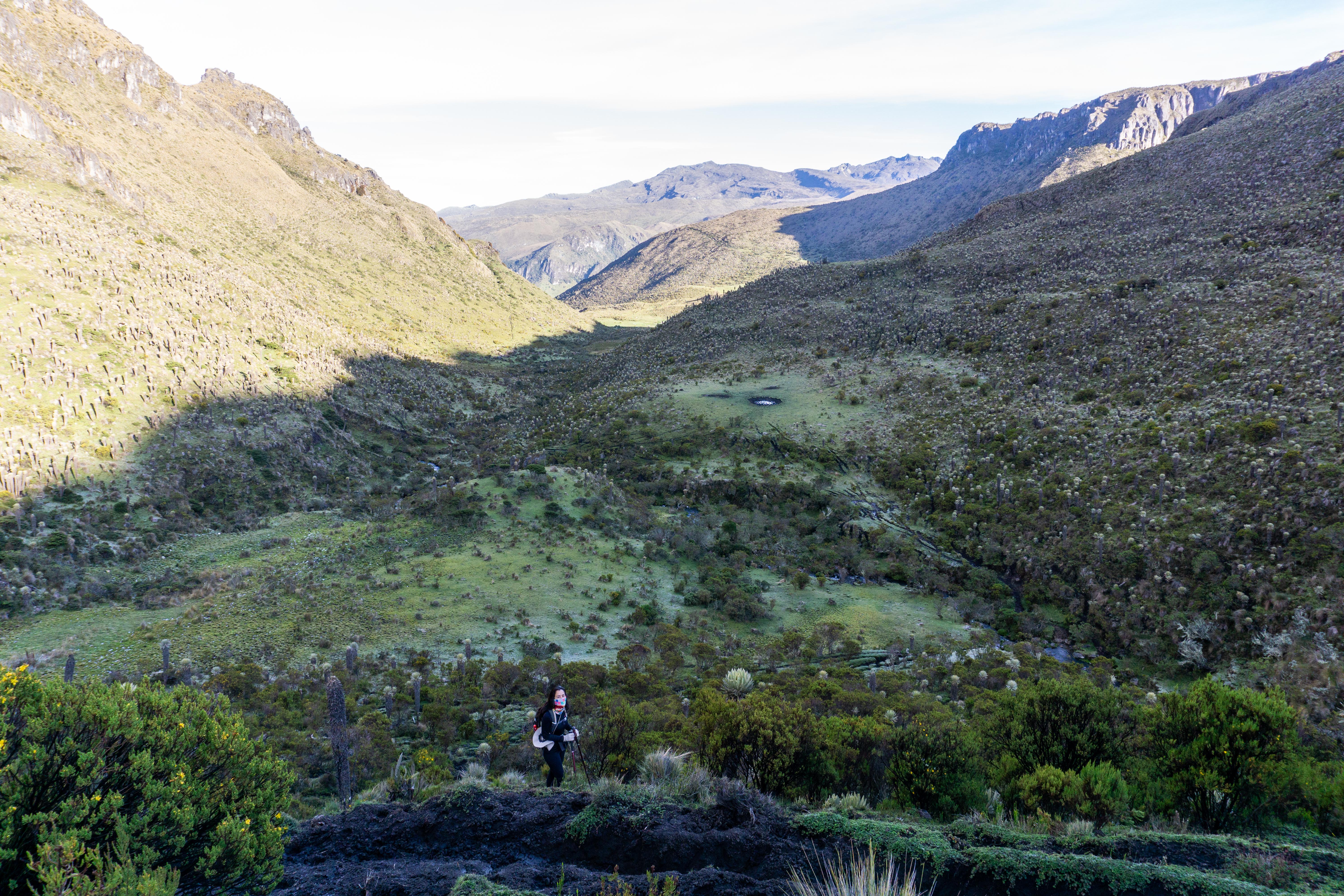 Colombia_Parque Nacional Los Nevados