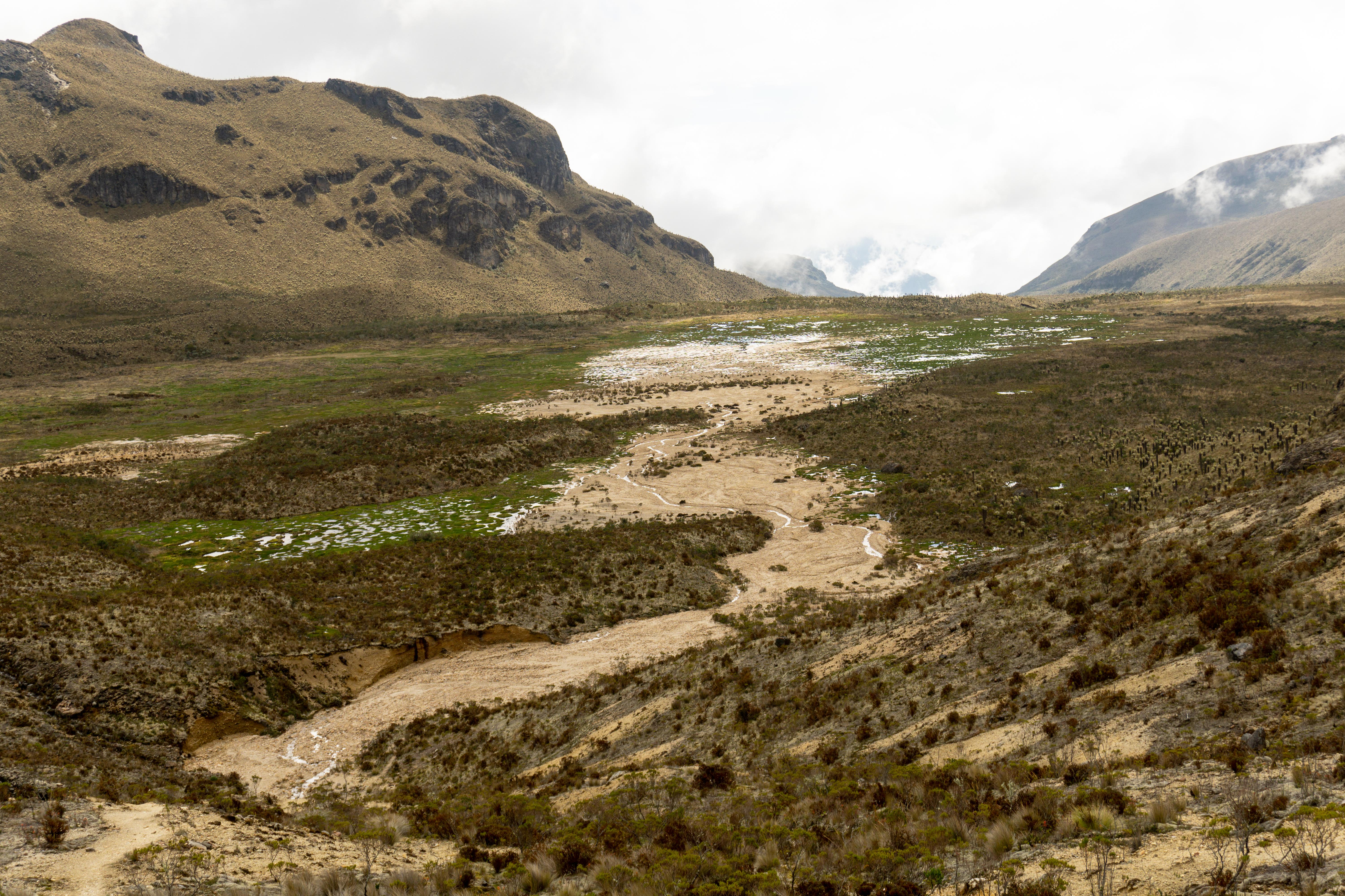 Colombia_Humedales del Quindio