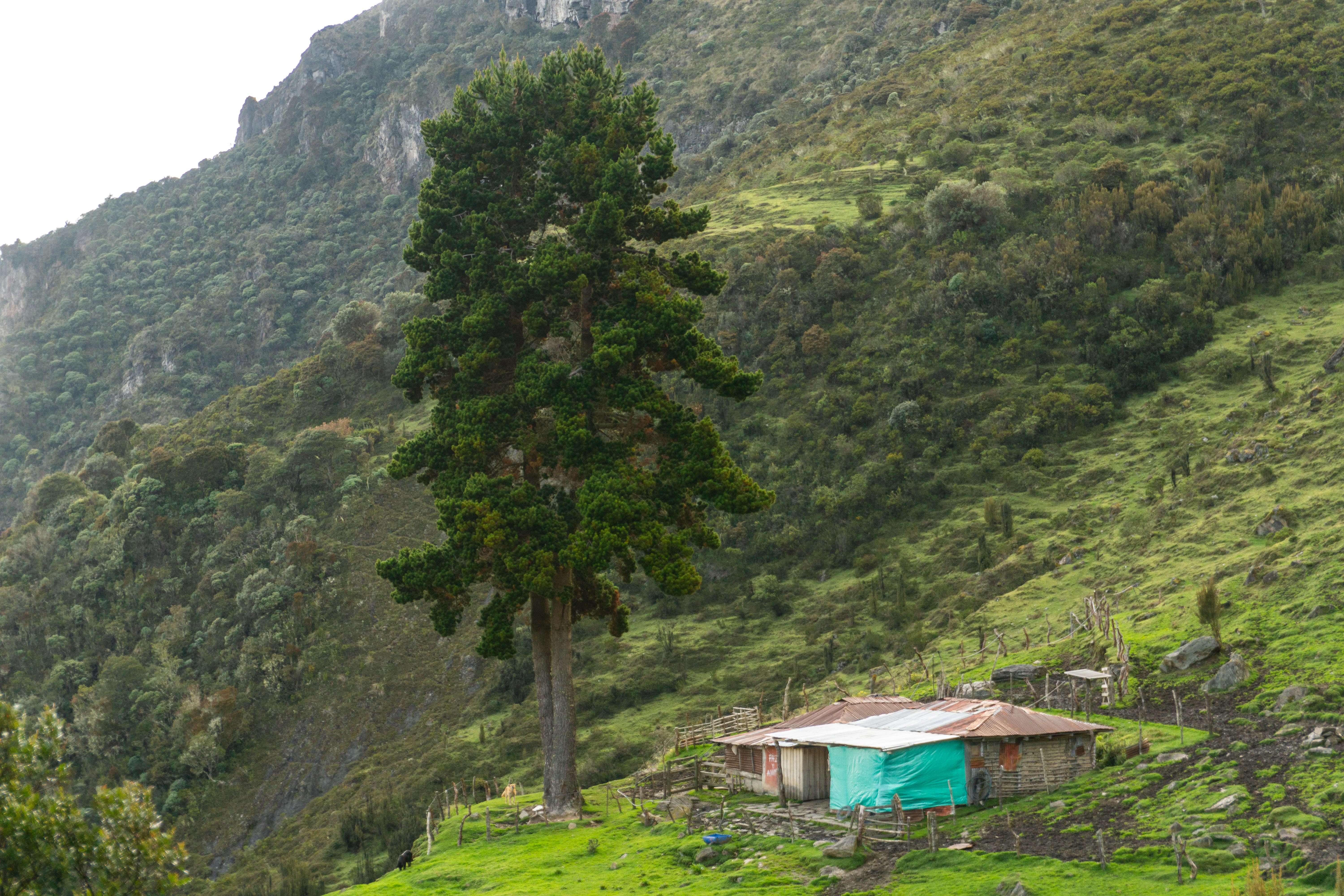 Colombia_20211106_182619