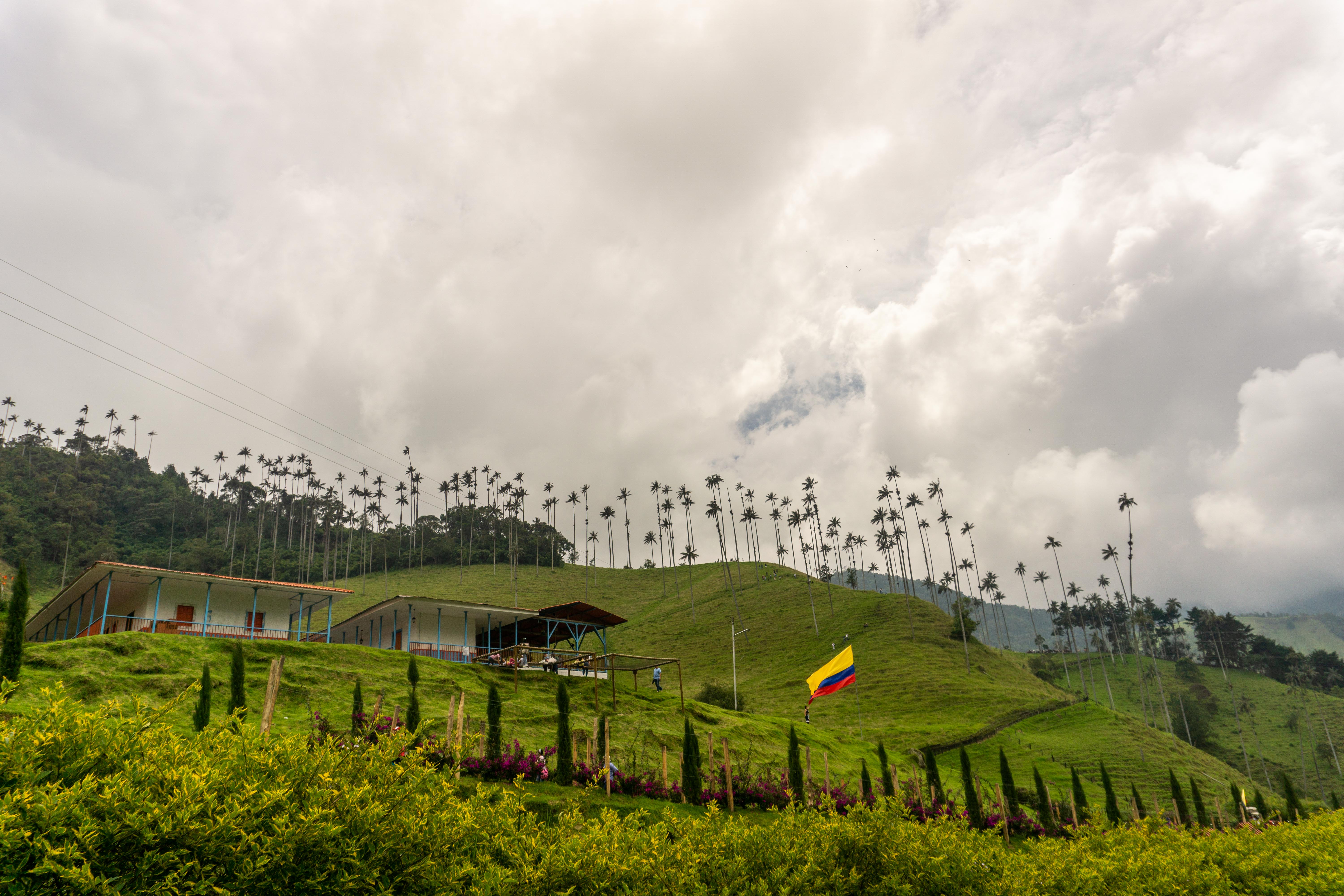 Colombia_valle del cocora