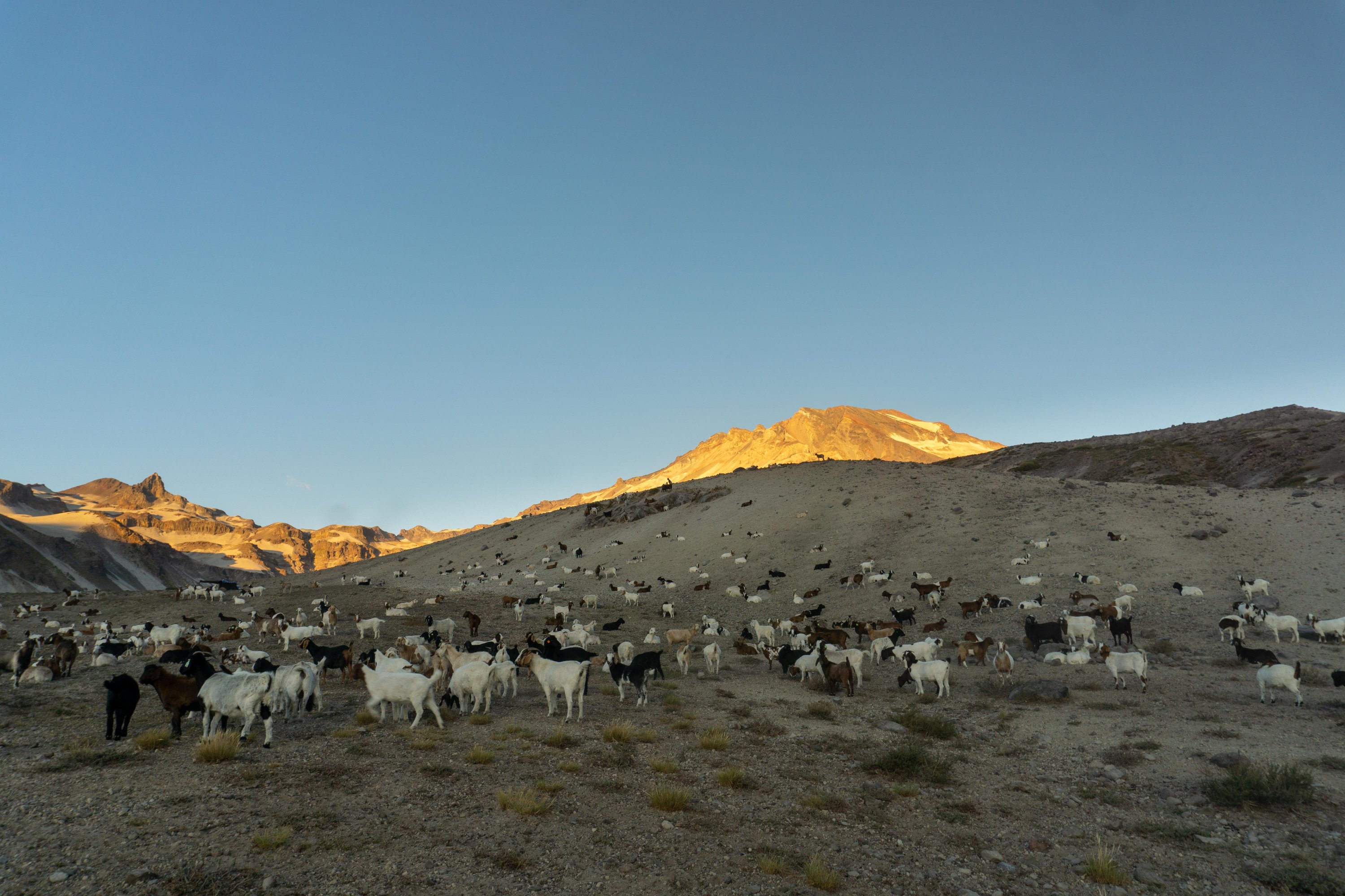Volcan Descabezado gfrande_Chile
