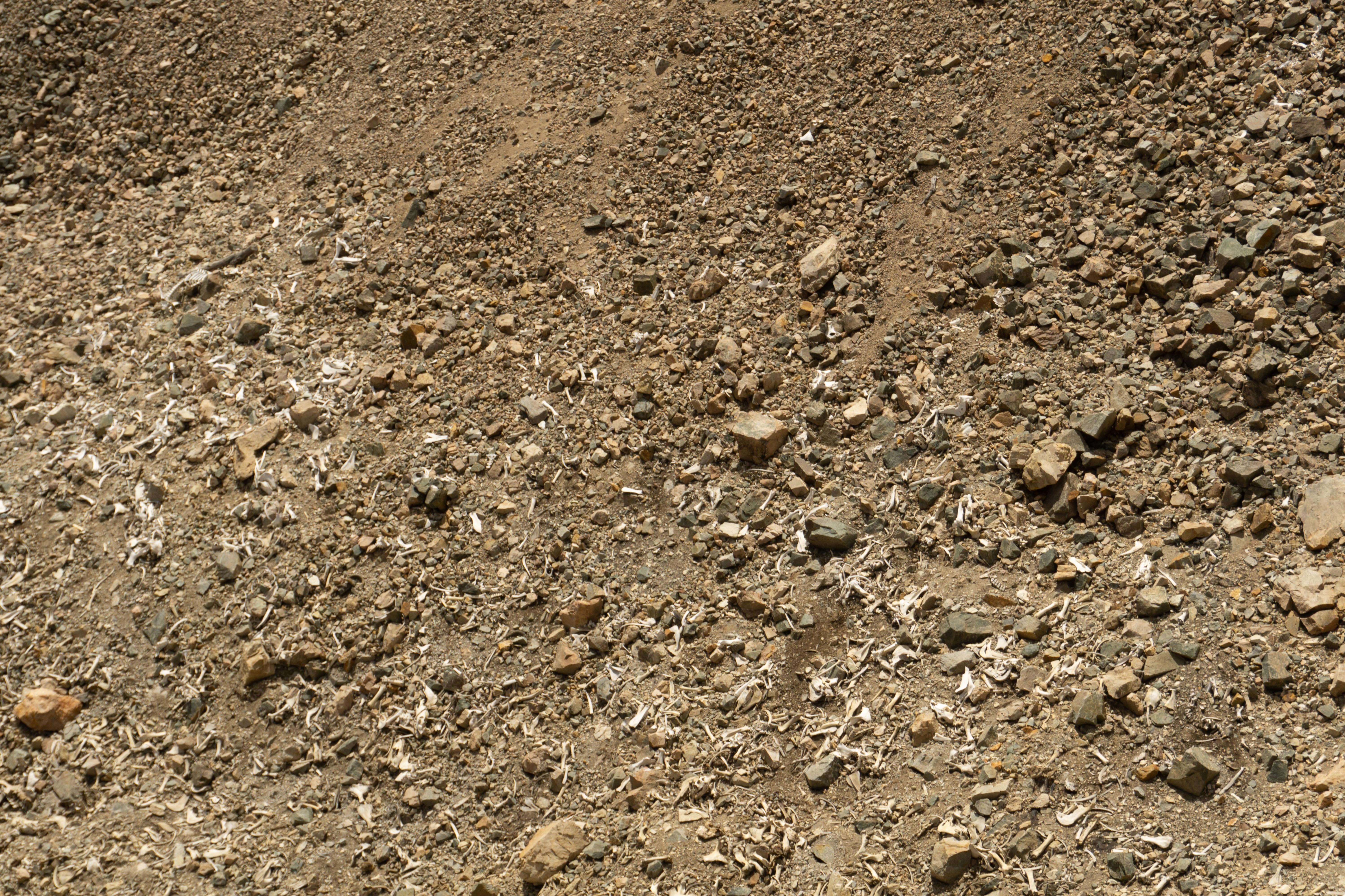 Portillo Argentino_Cruce de Los Andes