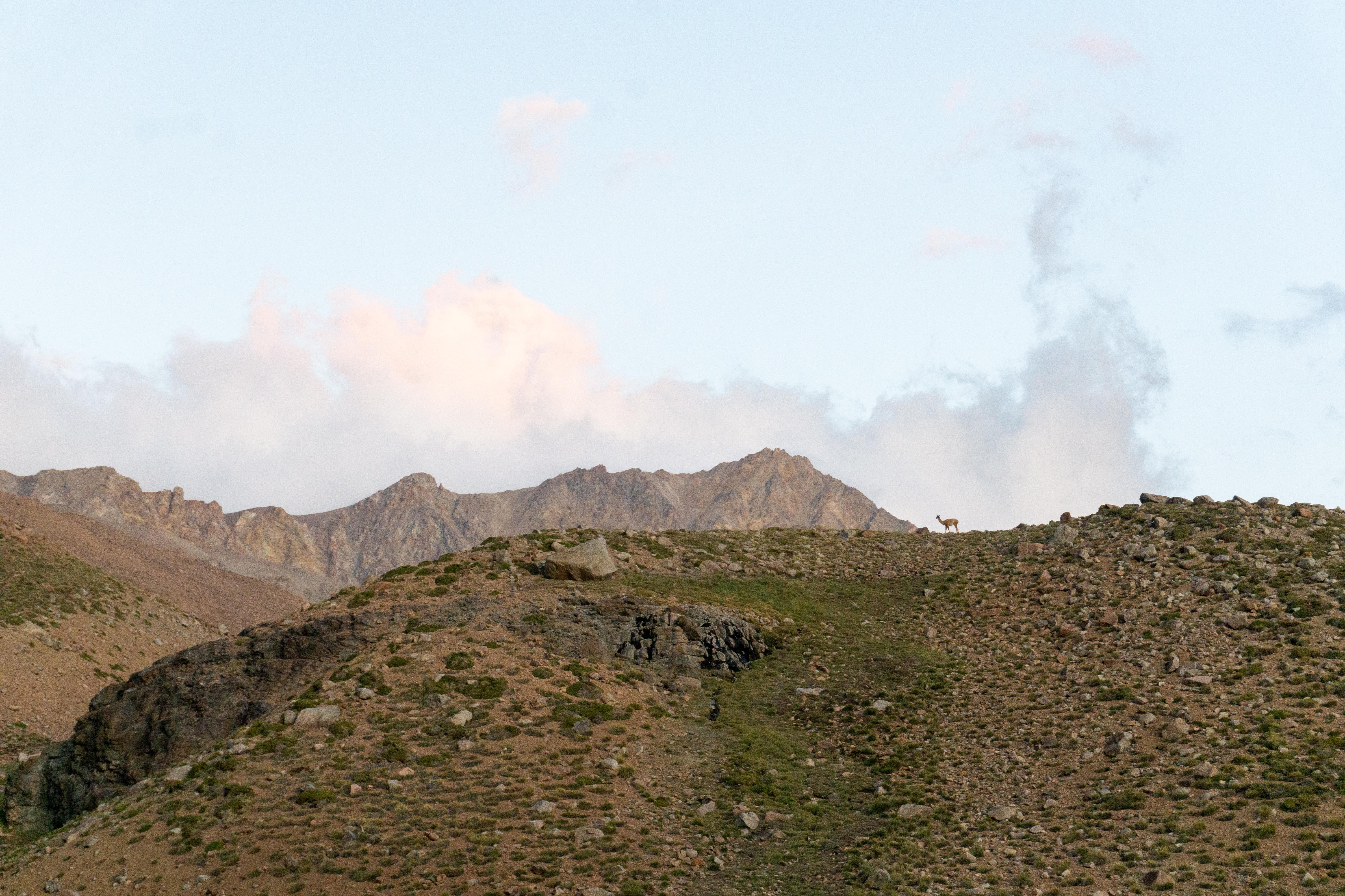 Cruce de Los Andes_Portillo Argentino