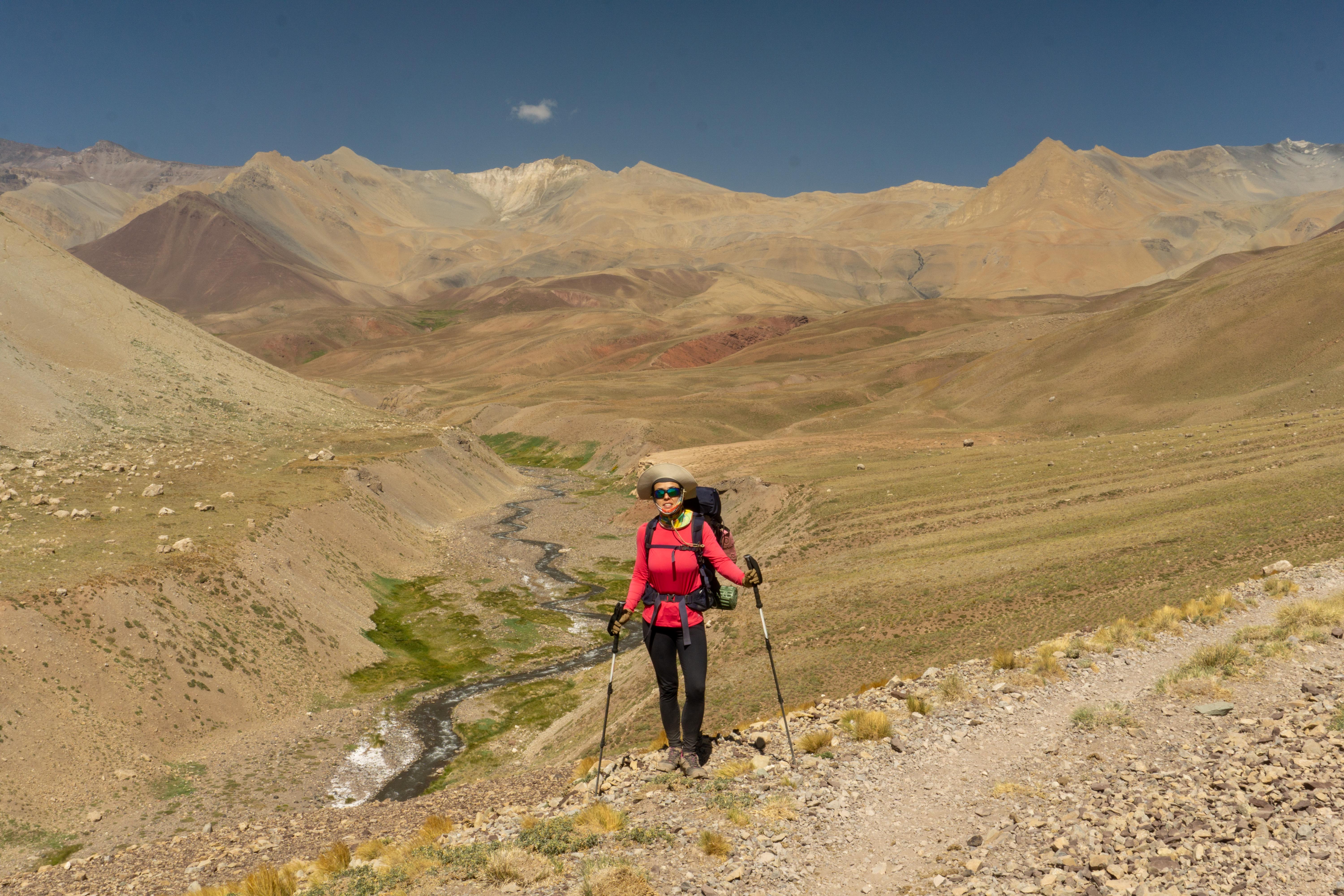 Cruce de Los Andes_palomares