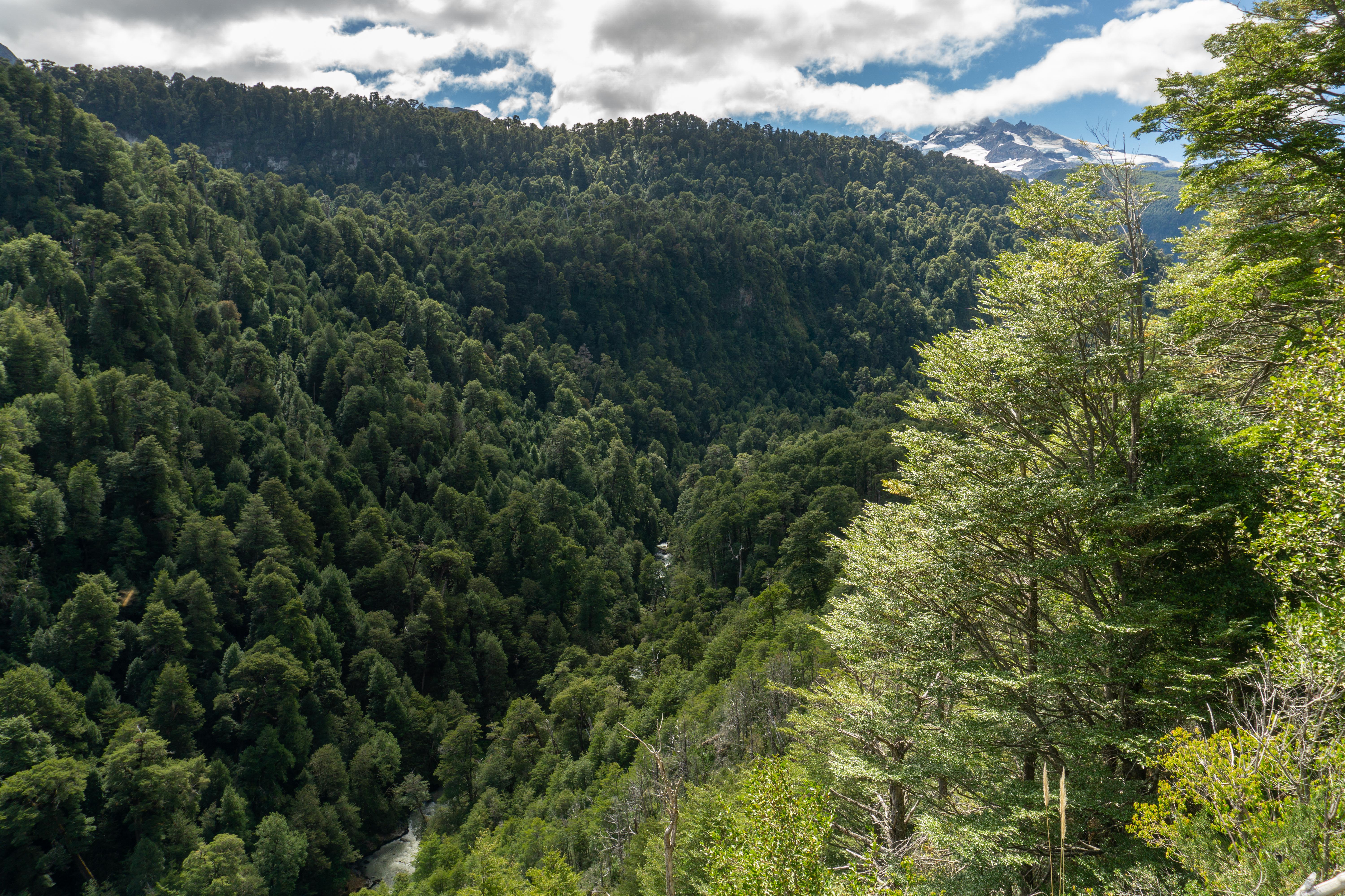 Ruta de los jesuitas