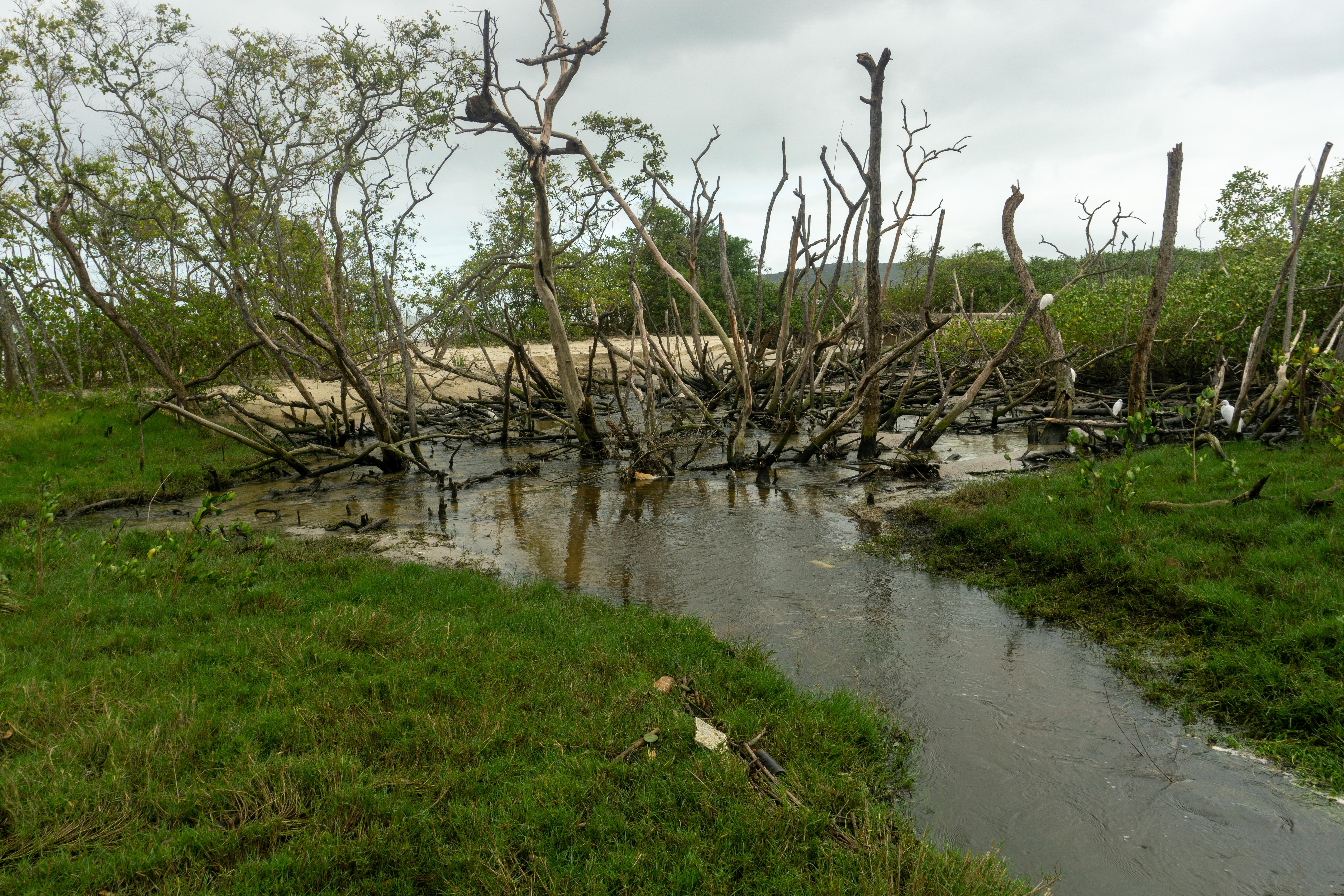 Florianopolis_Punta das Canas