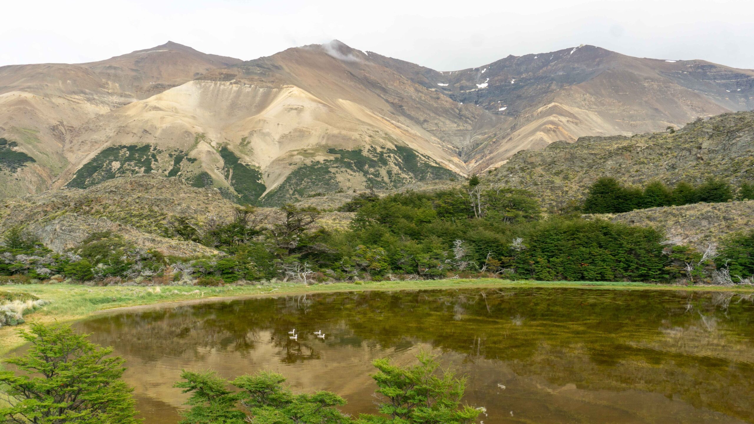 Parque Nacional Perito Moreno